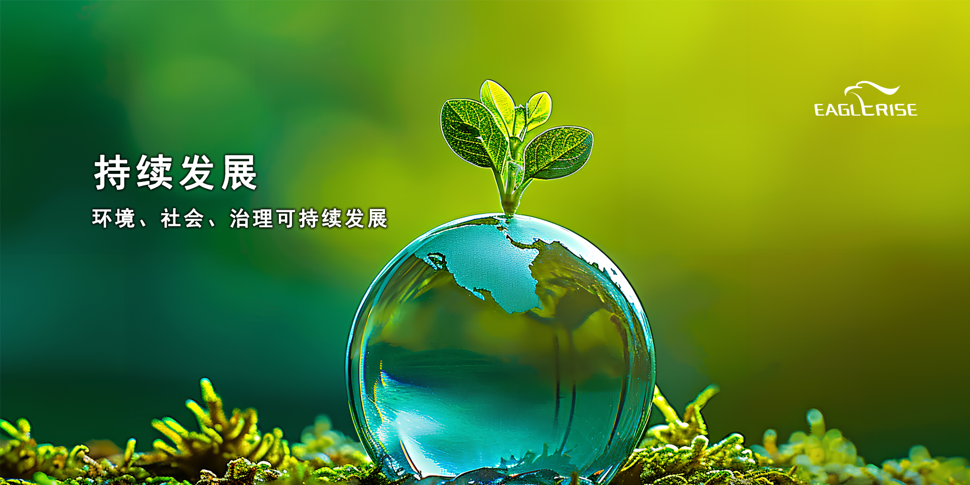 球速体育— 用速度,沉写角逐